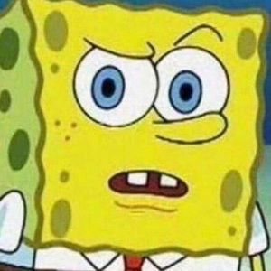 Meet your Posher, Paul